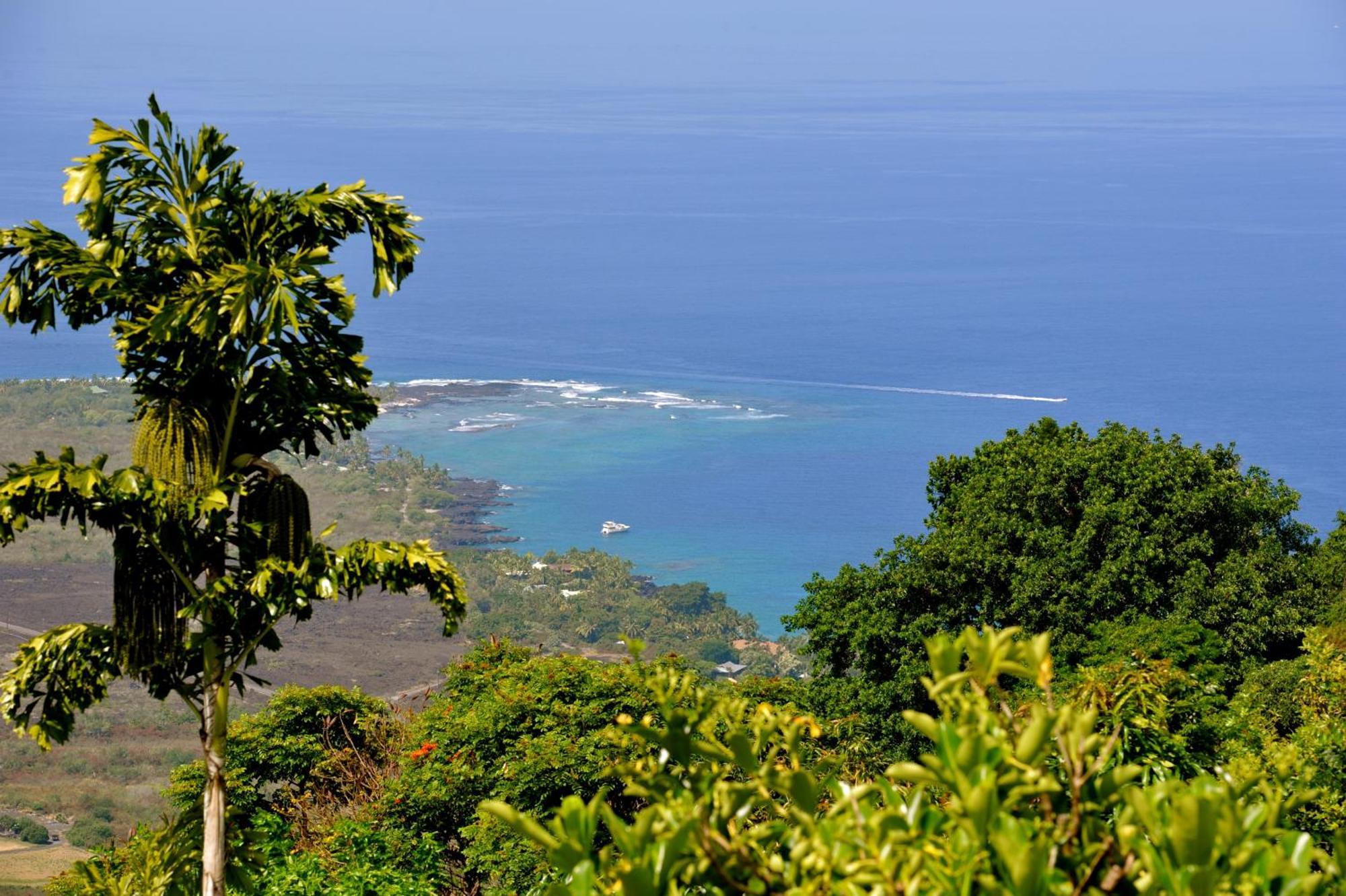 Ka'Awa Loa Plantation Acomodação com café da manhã Captain Cook Exterior foto